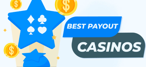 How to Find the Best Payout Casinos in NZ?
