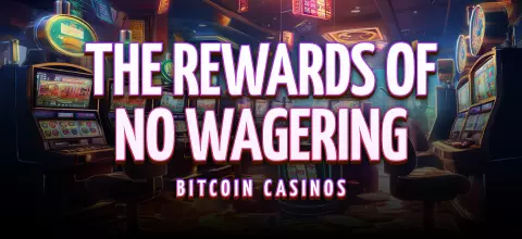 Leap Beyond the Traditional: The Rewards of No Wagering Bitcoin Casinos