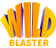 Wild Blaster Casino