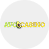 Avo Casino