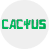 Cactus Casino